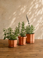 Set of 3 Terra Cotta Planters