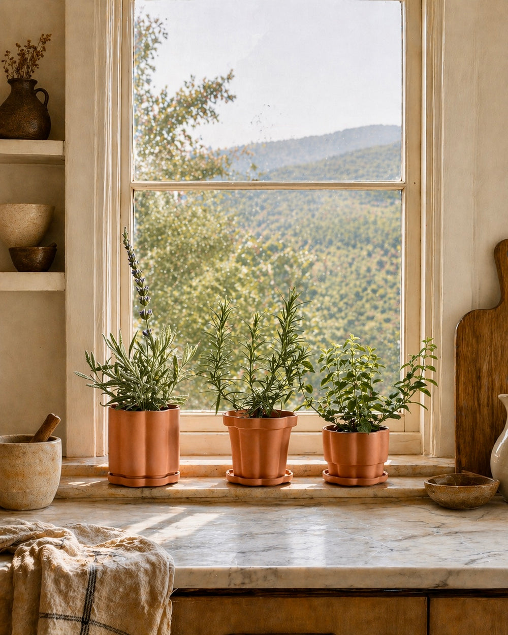 Set of 3 Terra Cotta Planters