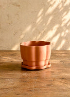 Set of 3 Terra Cotta Planters