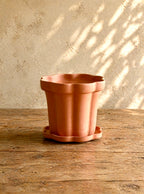 Taper - Terra Cotta Planter