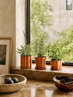 Column - Terra Cotta Planter