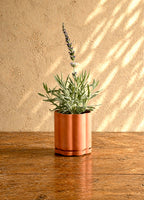 Column - Terra Cotta Planter