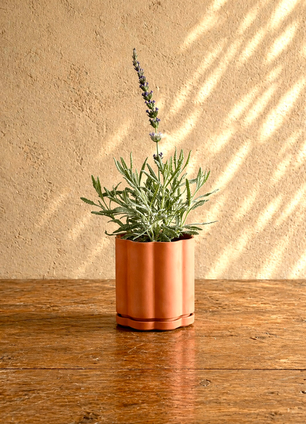 Set of 3 Terra Cotta Planters