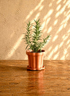 Taper - Terra Cotta Planter